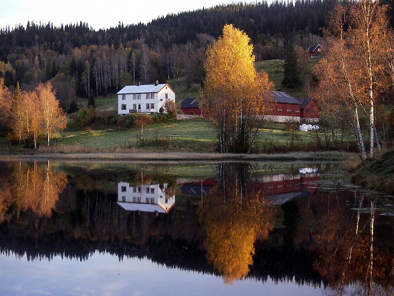 IMGP2094.JPG - Det er blitt mer høstlige farger ved Snustaddammen i løpet av et par uker
